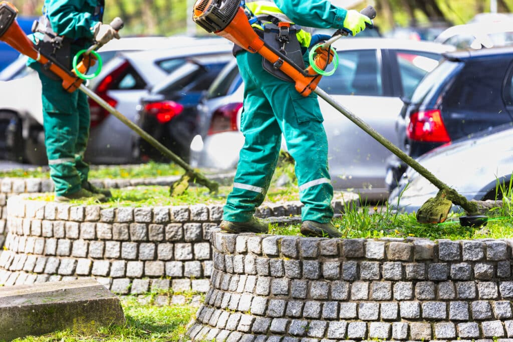 Landscapers with trimmers