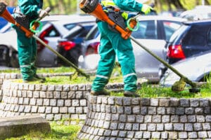 Landscapers with trimmers